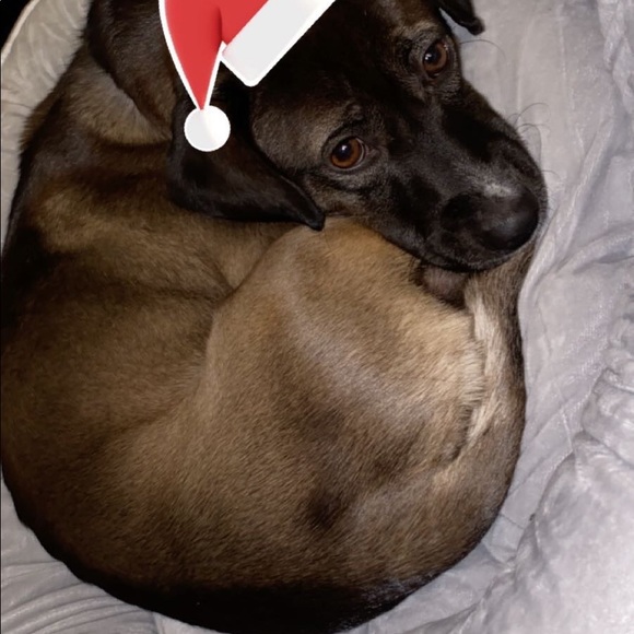 Meet your Posher, Carleen - Picture 1 of 1